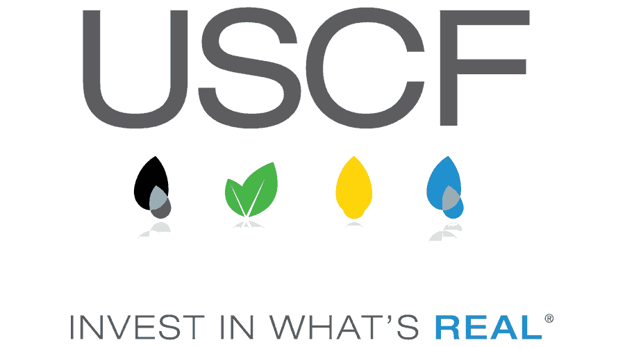 USCF Logo